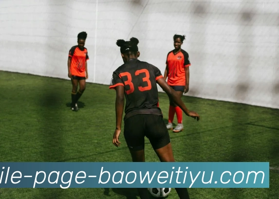 宝威体育平台生态图