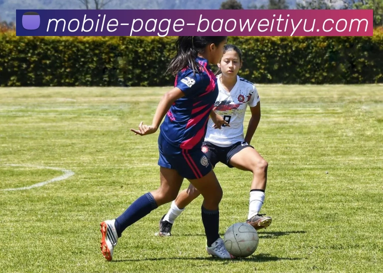 宝威体育APP 封面图